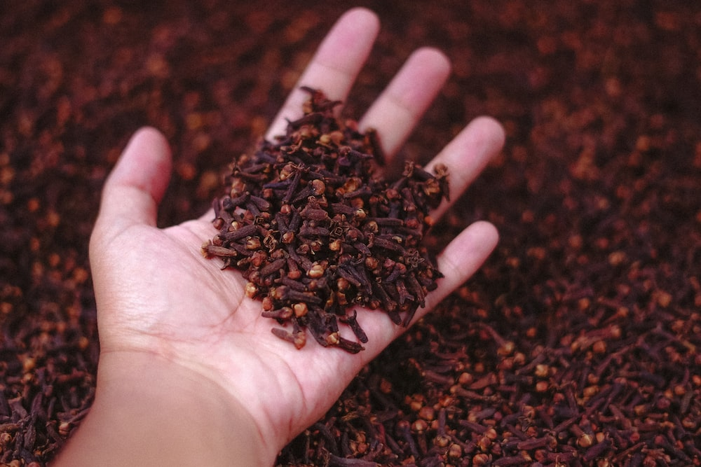 A hand full of cloves