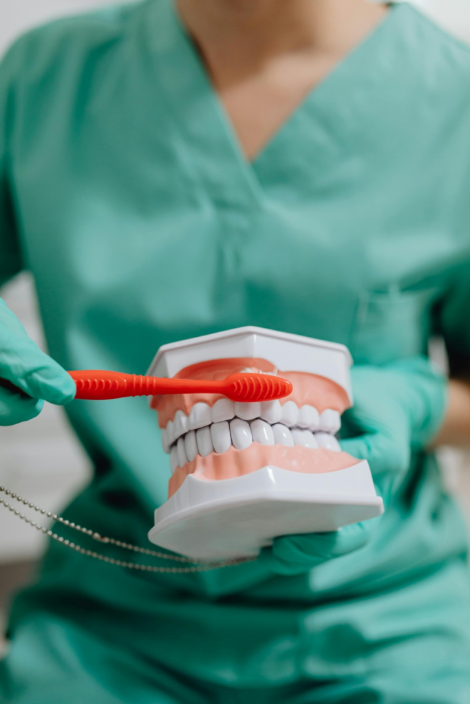 A dentist demonstrating how to brush teeth.
